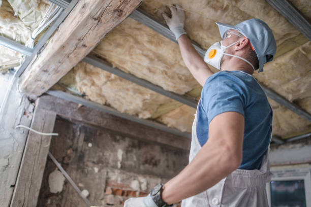 Best Insulation Maintenance and Repair in Carbondale, KS