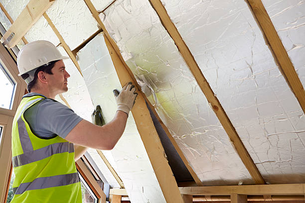 Best Commercial Insulation in Carbondale, KS
